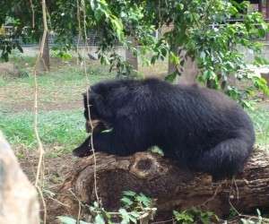 Zoologico de Santa Cruz Fuente: wikimedia.org por Fisioune